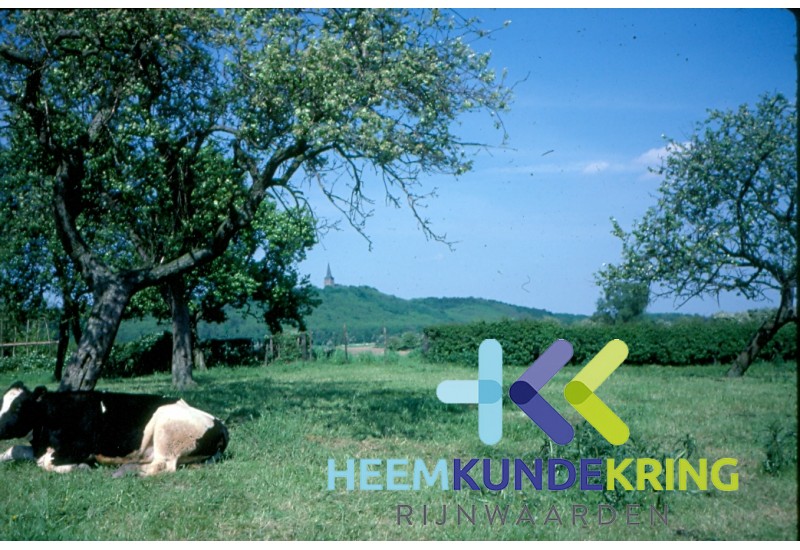 Omgeving `Hof Zum Walde` F00002201